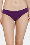 Zivame Anti-Microbial Low Rise Full Coverage Bikini Panty (Pack of 3) - Multicolor — thumbnail 3